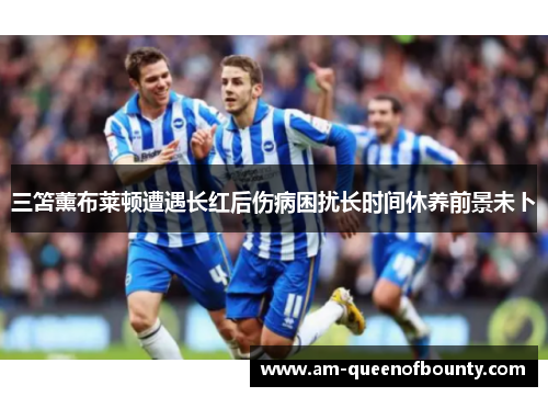 三笘薰布莱顿遭遇长红后伤病困扰长时间休养前景未卜